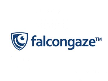 Falcongaze SecureTower